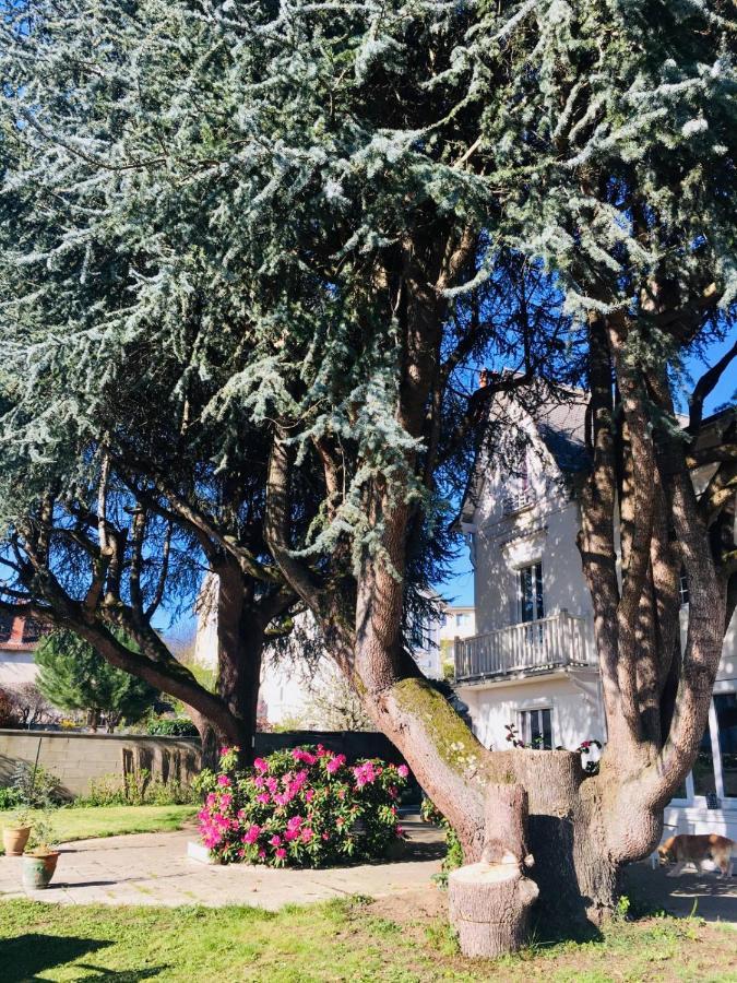 Chambres D'Hotes La Maison Blanche Saint-Junien Exterior foto
